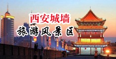 啊啊啊～不要～操我了看视频网站中国陕西-西安城墙旅游风景区